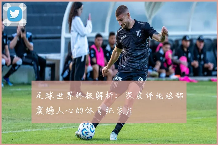 足球世界终极解析：深度评论这部震撼人心的体育纪录片